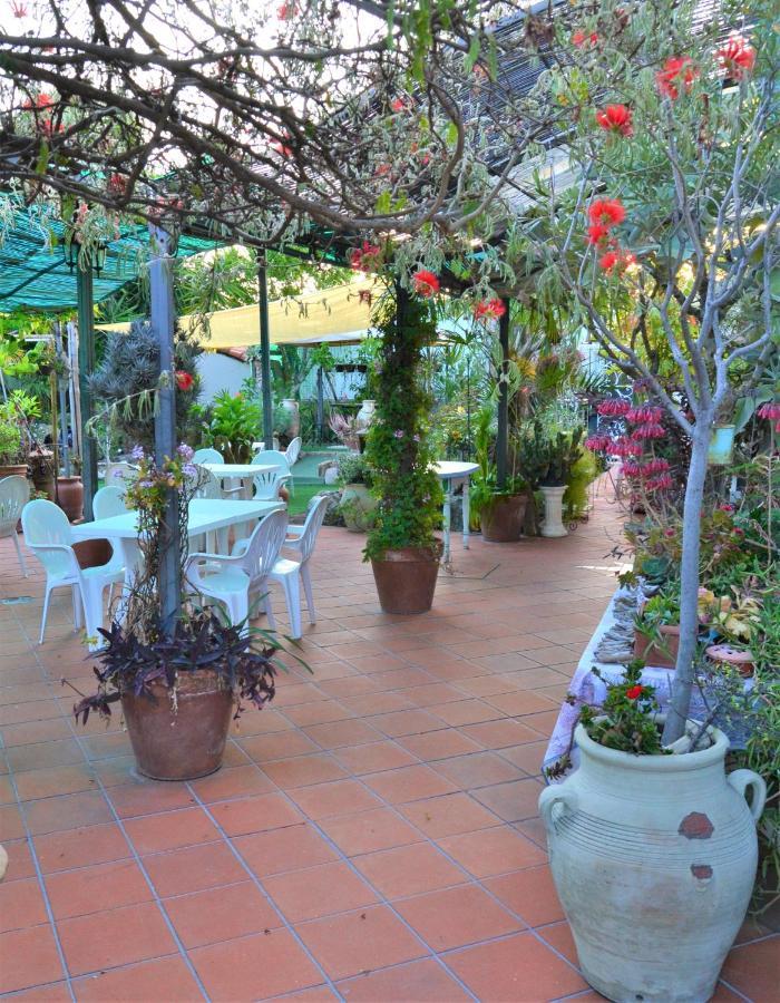 Agriturismo Terre Di Mare Bordighera Vallecrosia Exterior foto